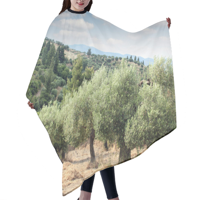 Personality  Olive Trees Hill Hair Cutting Cape