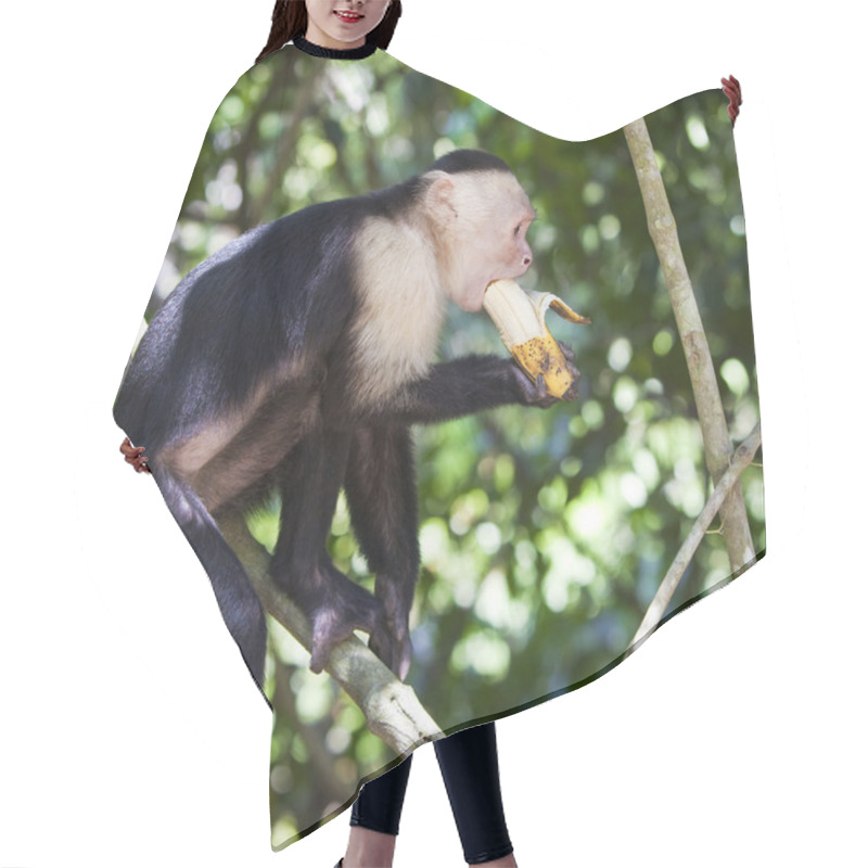 Personality  Monkey Biting A Banana Hair Cutting Cape