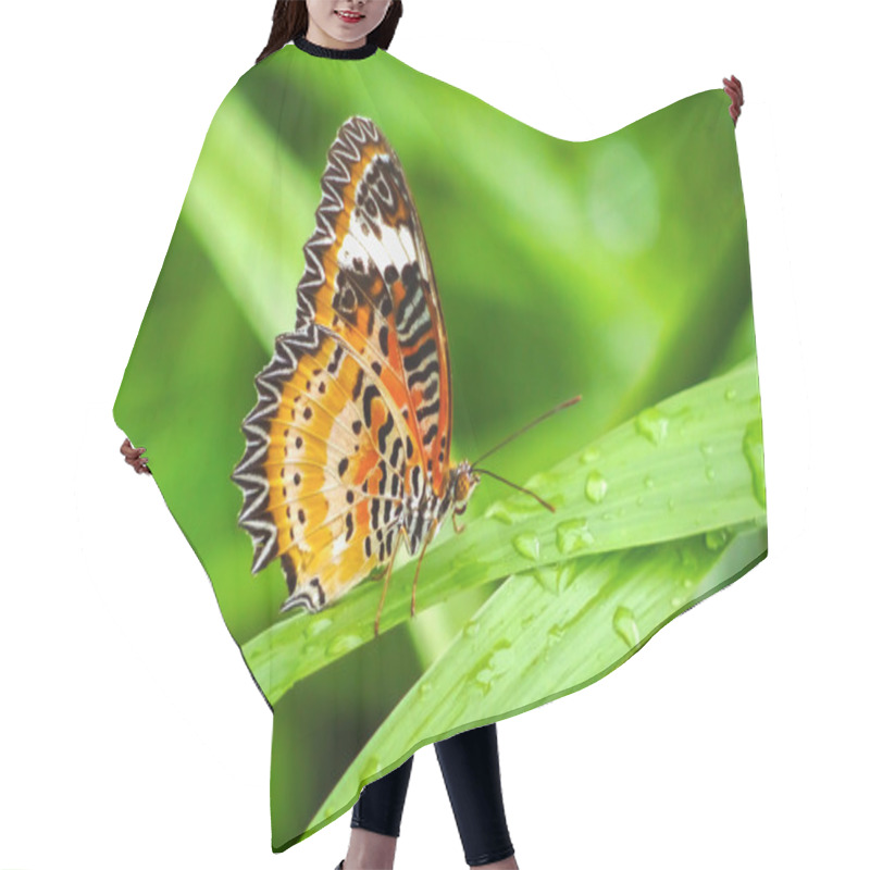 Personality  Butterfly Leaf With Blurred Background. Hair Cutting Cape