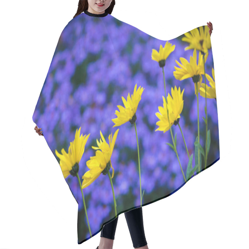 Personality  Yellow Daisy Flowers On Background Of Purple Blue Aster Hair Cutting Cape