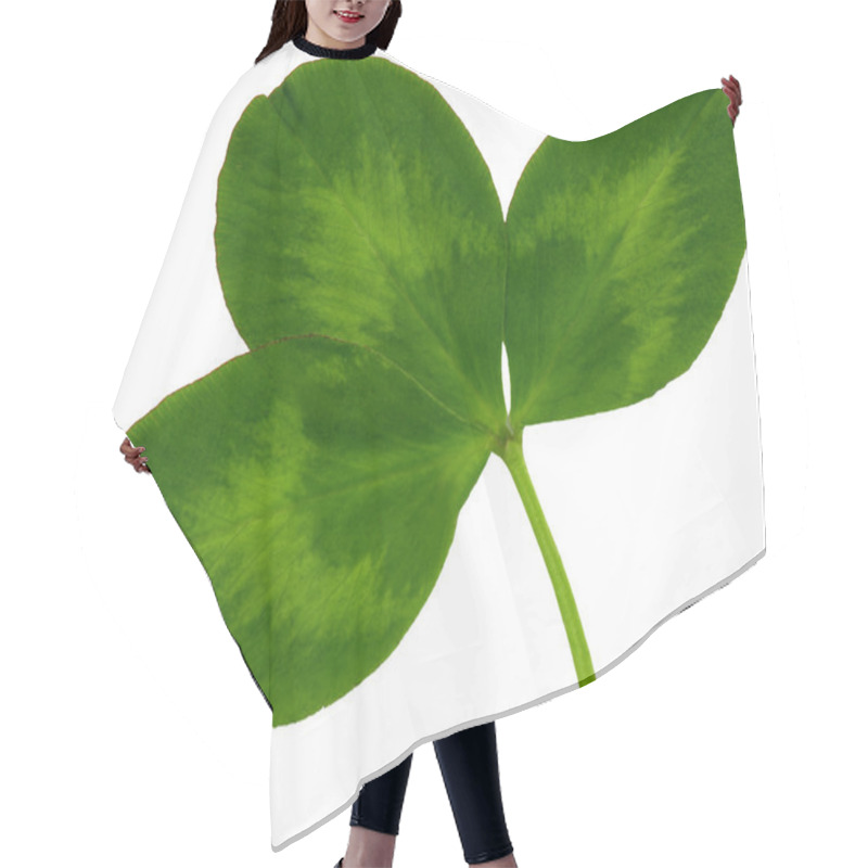 Personality  Clover Leaf 2 Hair Cutting Cape