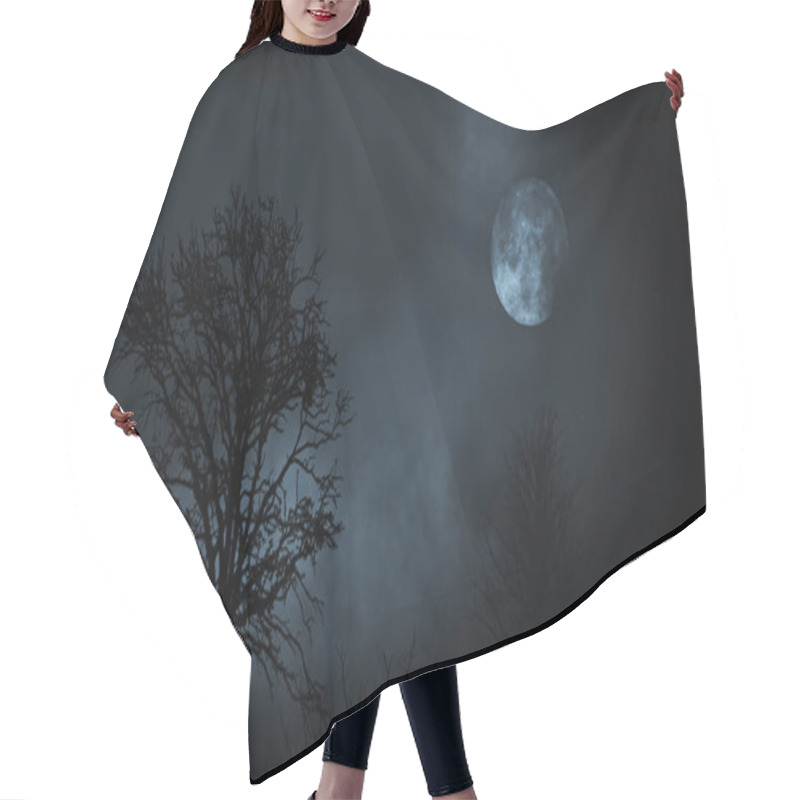 Personality  Full Moon At Night Rising Between Evergreen Tree Forest With Clouds 3d Illustration Hair Cutting Cape