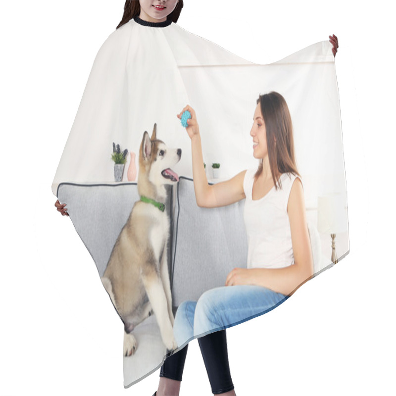 Personality  Woman Playing With Malamute Dog On Sofa In Room Hair Cutting Cape