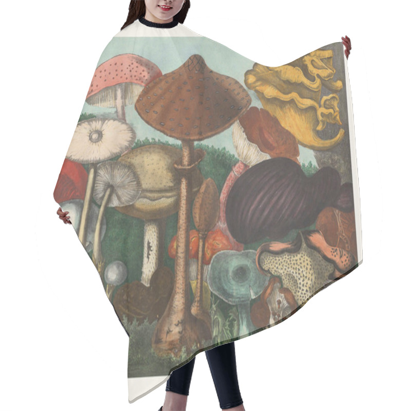 Personality  Botanical Illustration Of Mushrooms. Beautiful Scene With Mushrooms Growing In The Forest. Hair Cutting Cape