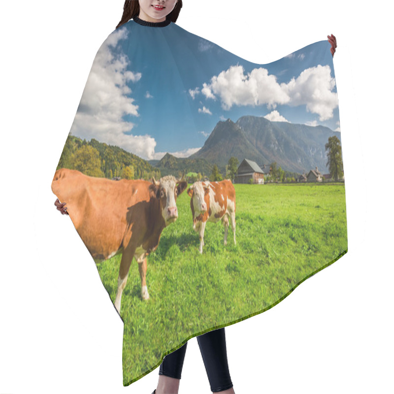 Personality  Cows On Pasture In The Alps Hair Cutting Cape