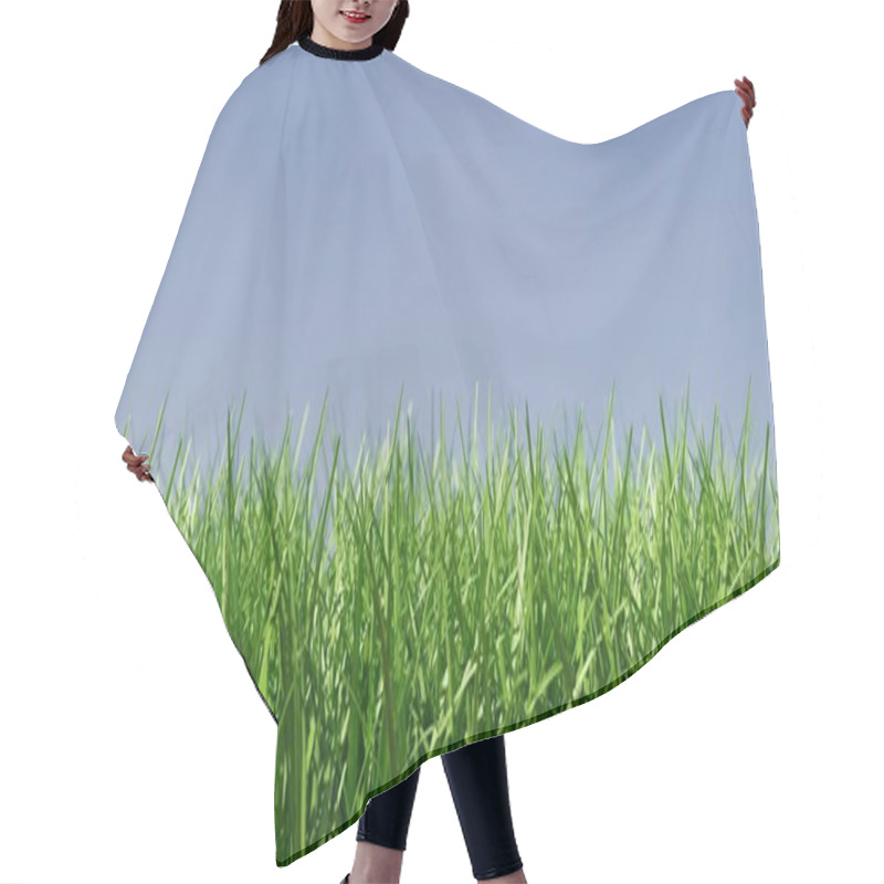 Personality  Morning Sun Shining Through The Green Meadow Hair Cutting Cape