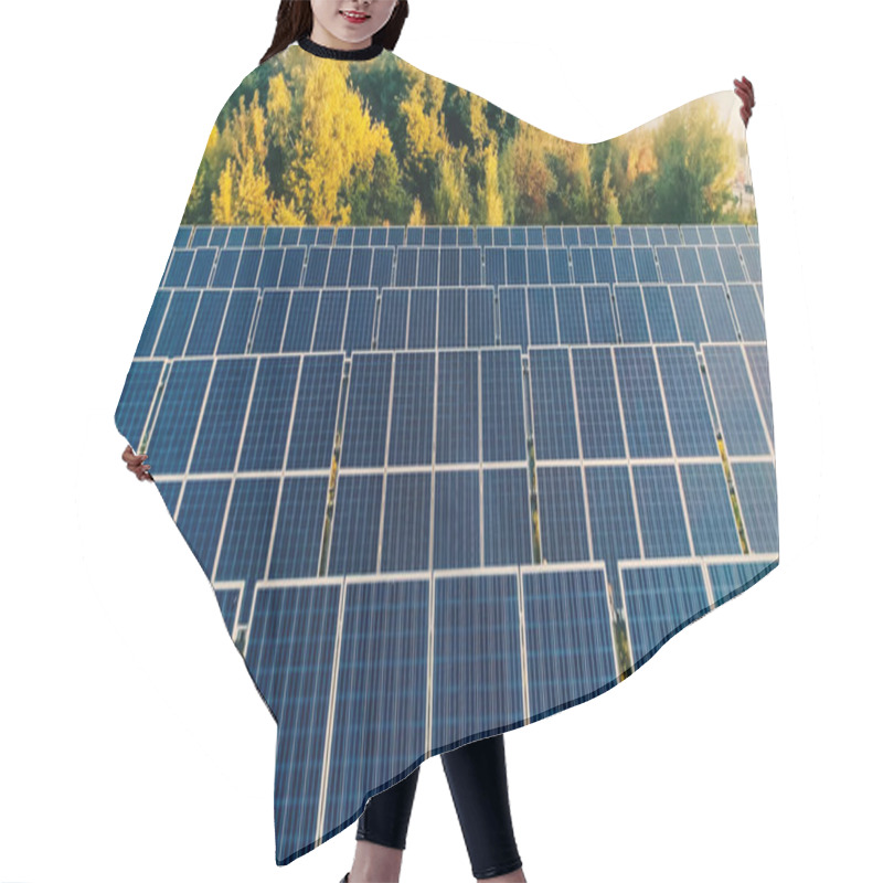 Personality  Aerial View Of Solar Panels System Near Trees  Hair Cutting Cape