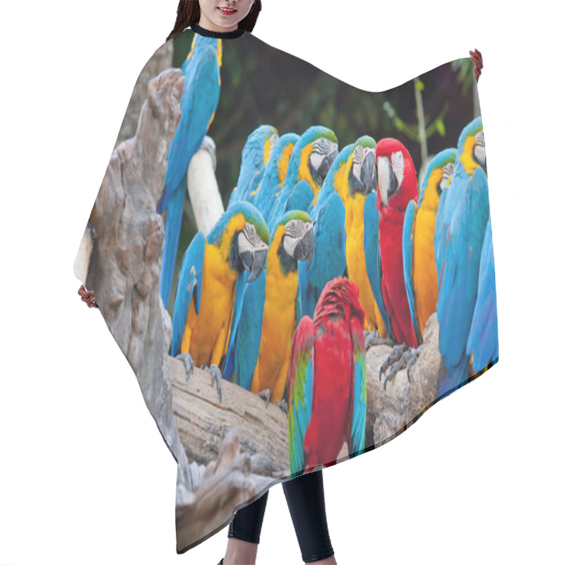 Personality  Scarlet Macaw Hair Cutting Cape