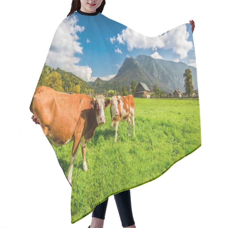 Personality  Cows On Pasture In The Alps Hair Cutting Cape