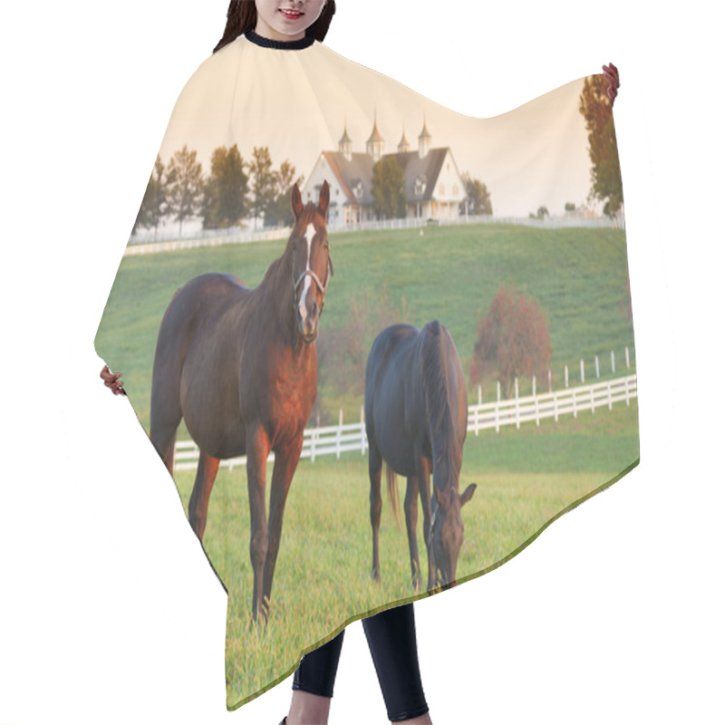 Personality  Horse Farm Hair Cutting Cape