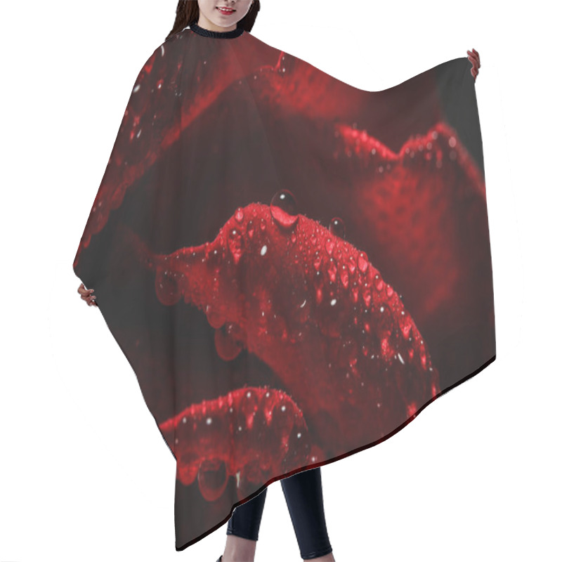 Personality  Red Rose With Dew On A Black Background Hair Cutting Cape