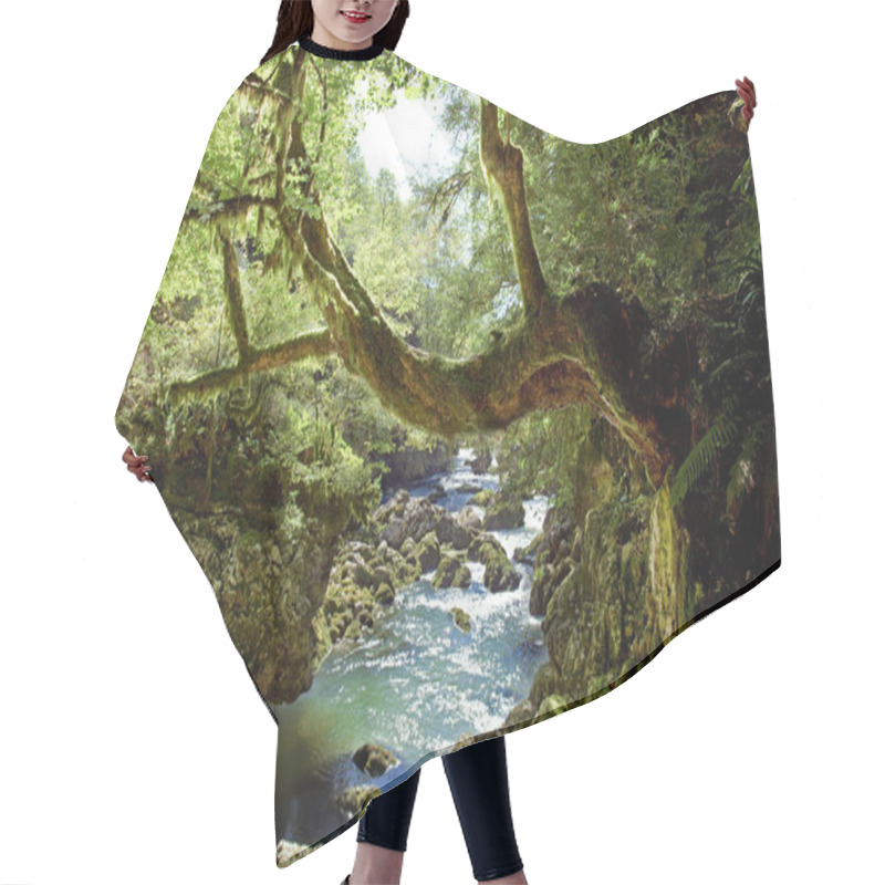 Personality  Deep Forest Hair Cutting Cape