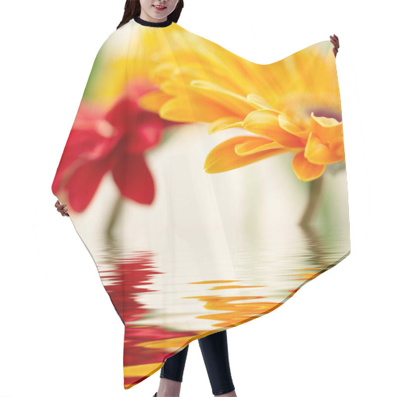 Personality  Closeup Photo Of Yellow Daisy-gerbera Hair Cutting Cape