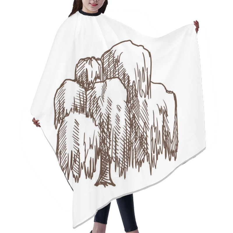 Personality  Weeping Willow Tree With Leaves, Summer Motifs Of Nature, Plants. Hair Cutting Cape