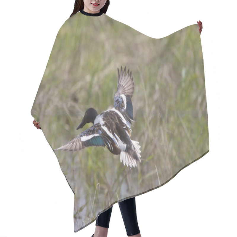 Personality  Northern Shoveler Hair Cutting Cape