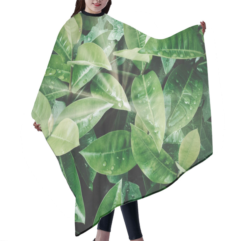 Personality  Tropical Green Leaf With Raindrop Natural Background Hair Cutting Cape