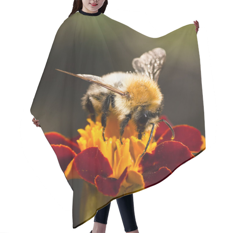 Personality  Young Bumblebee At Work Hair Cutting Cape