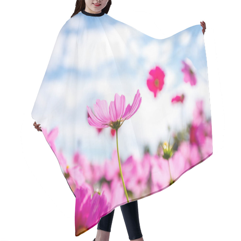 Personality  Cosmos Flower Blossom In Garden Hair Cutting Cape