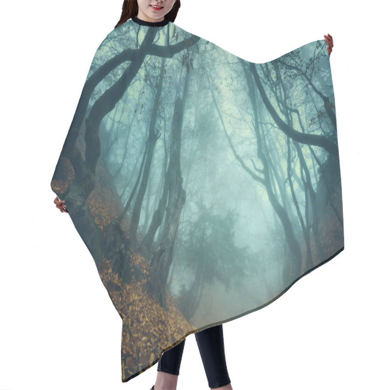 Personality  Trail Through A Mysterious Dark Old Forest In Fog. Autumn Hair Cutting Cape