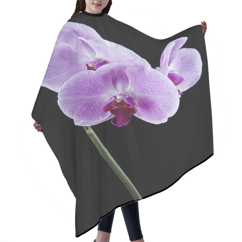 Personality  Orchid Flowers On The Water Drops Hair Cutting Cape