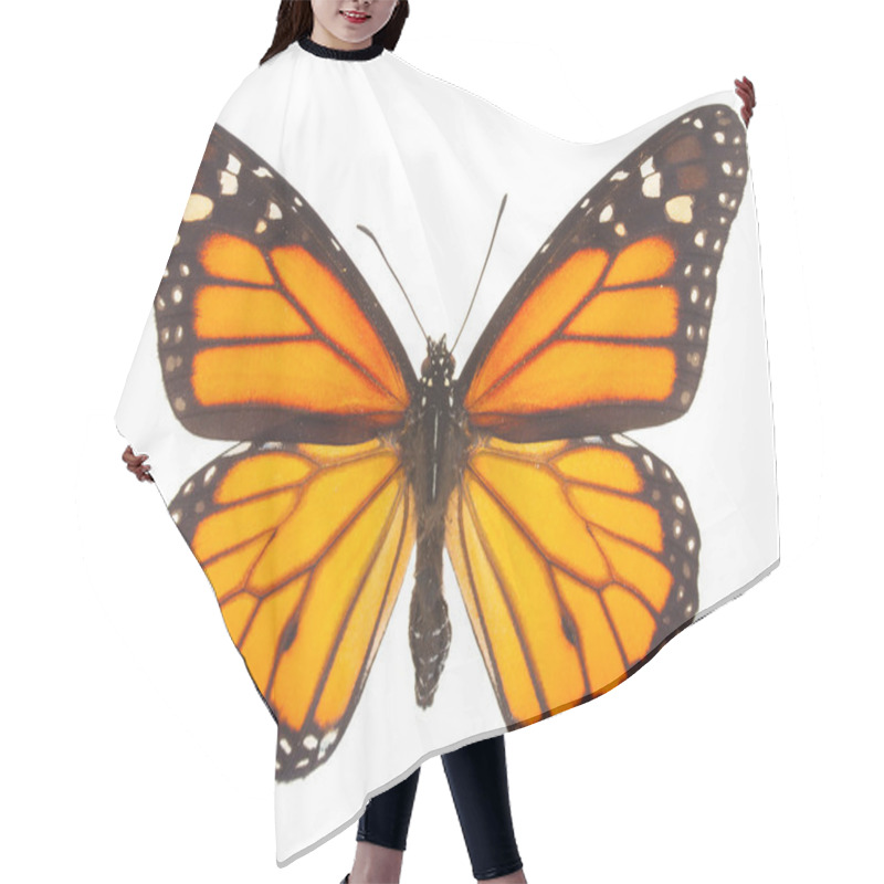 Personality  Peacock Butterfly Hair Cutting Cape