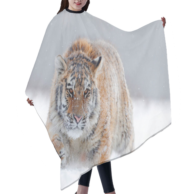 Personality  Siberian Tiger In Snow Forest Hair Cutting Cape