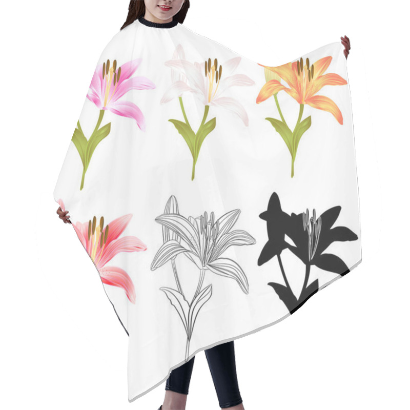 Personality  Stem Lily Flower Yellow White Pink Yellow Red Outline And Silhouette Lilium Candidum, On A White Background  Vintage Vector Illustration Editable Hand Draw Hair Cutting Cape