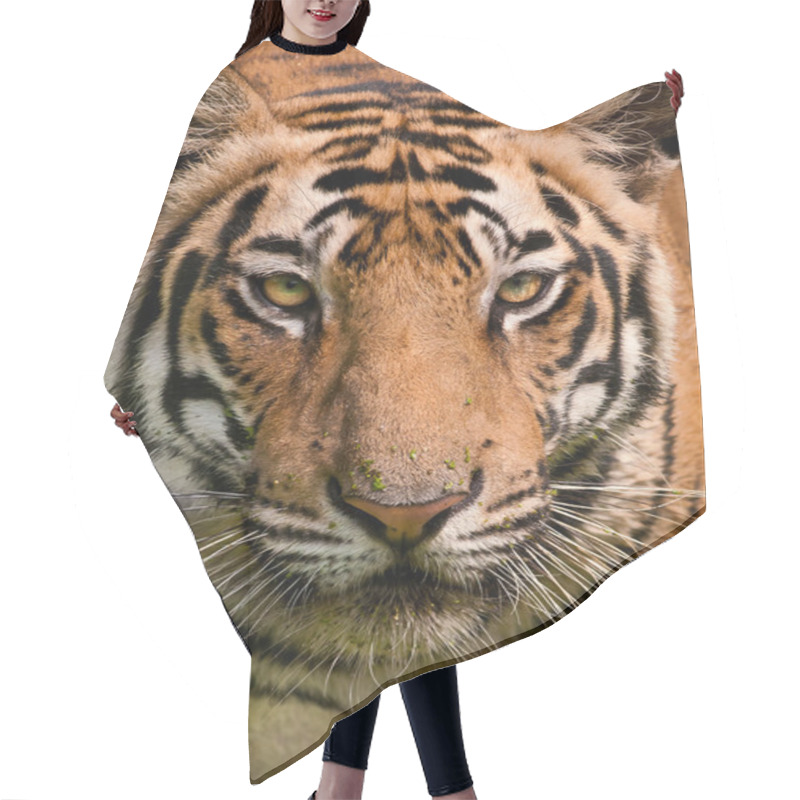 Personality  Tiger Close Up Hair Cutting Cape