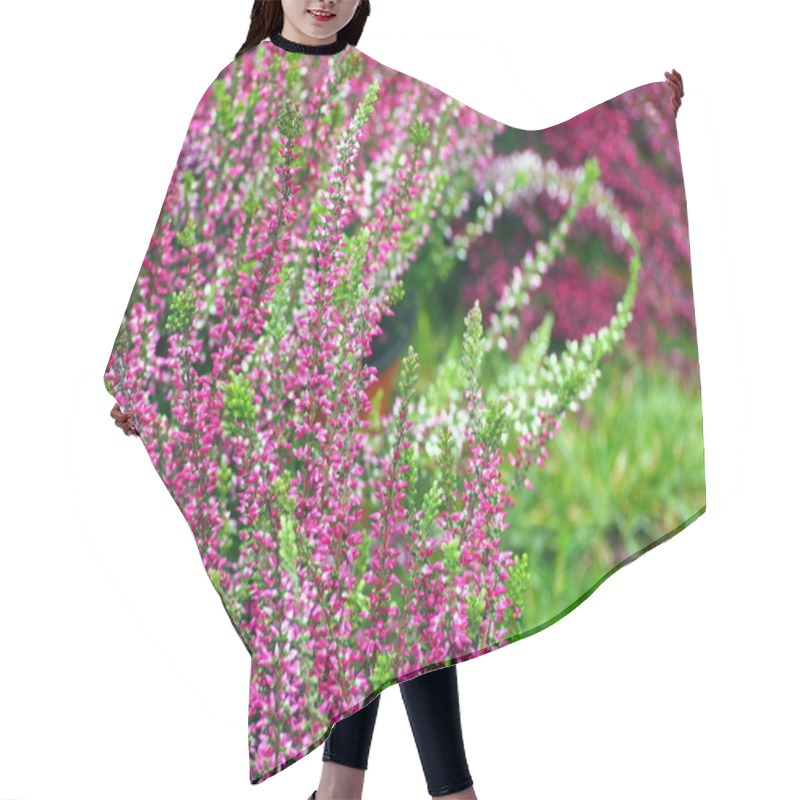 Personality  Pink Heather Flowers. Hair Cutting Cape