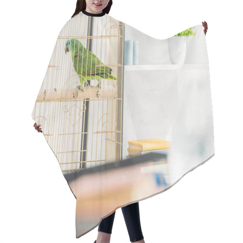 Personality  Selective Focus Of Green Parrot Sitting In Bird Cage Near Shelf With Flowerpot Hair Cutting Cape