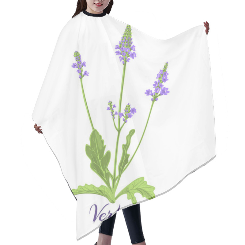 Personality  Flowering Herb Verbena Or Vervain Hair Cutting Cape