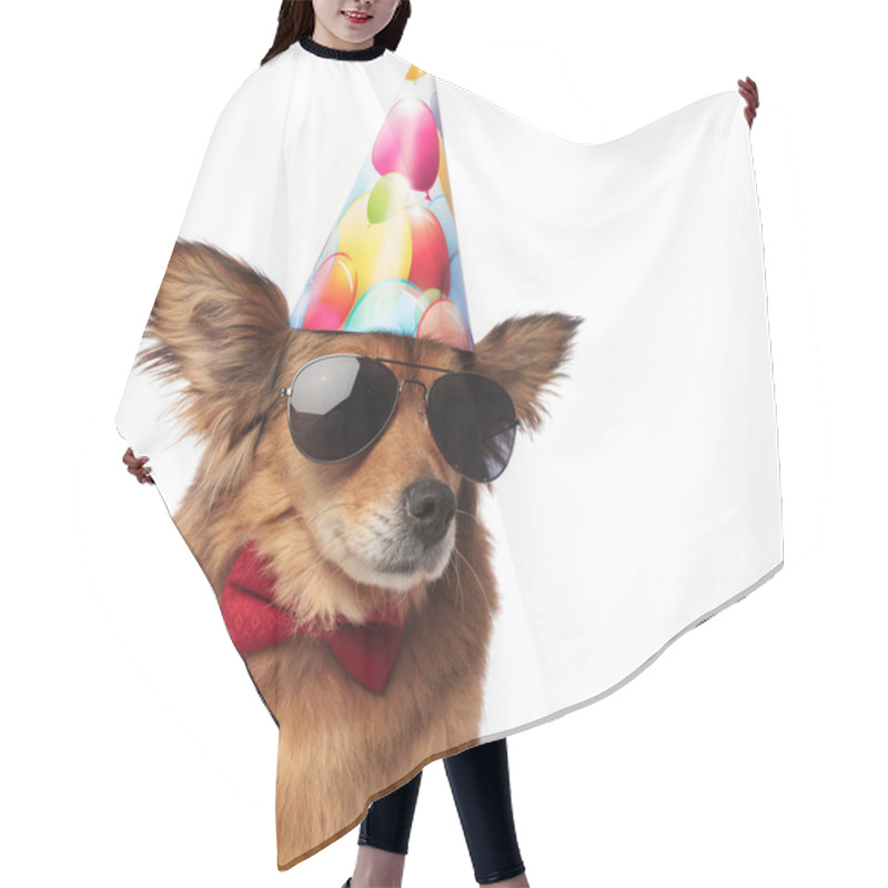 Personality  Close Up Of Cool Classy Dog Ready For Birthday Party Hair Cutting Cape