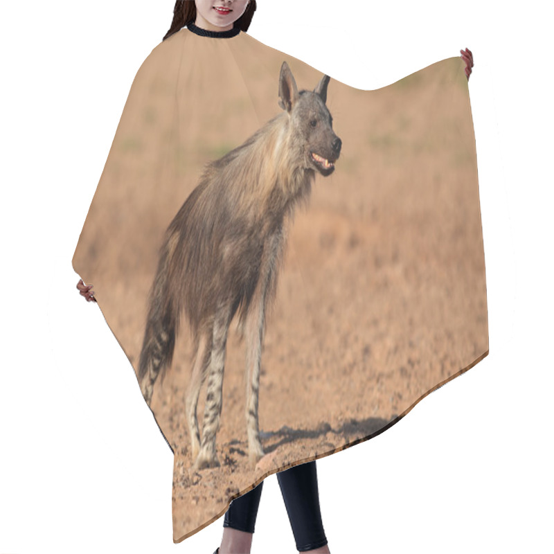 Personality  Brown Hyena Hair Cutting Cape