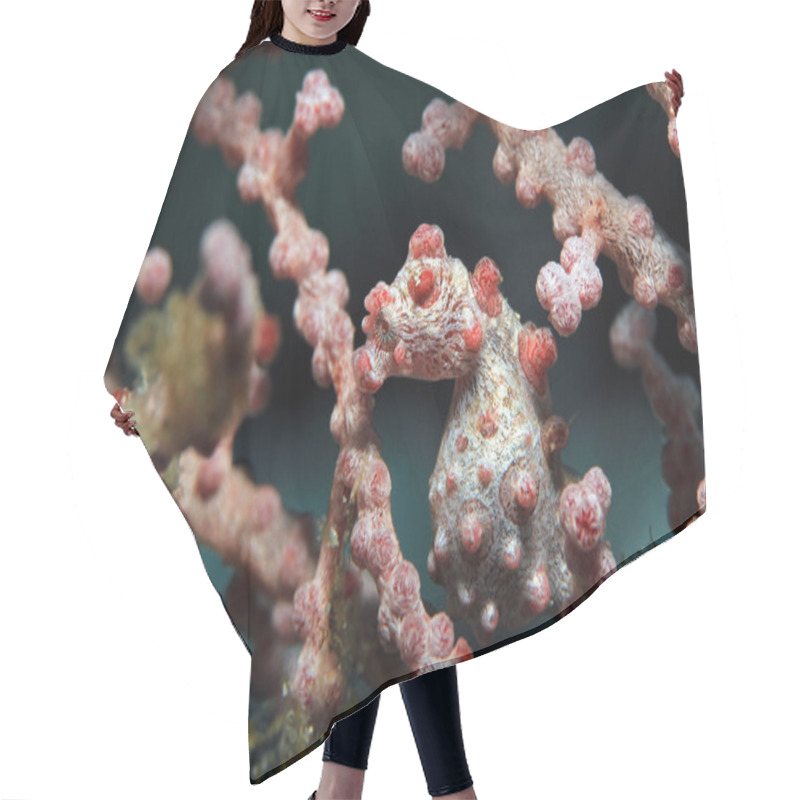 Personality  Pygmy Seahorse In Fan Coral Hair Cutting Cape