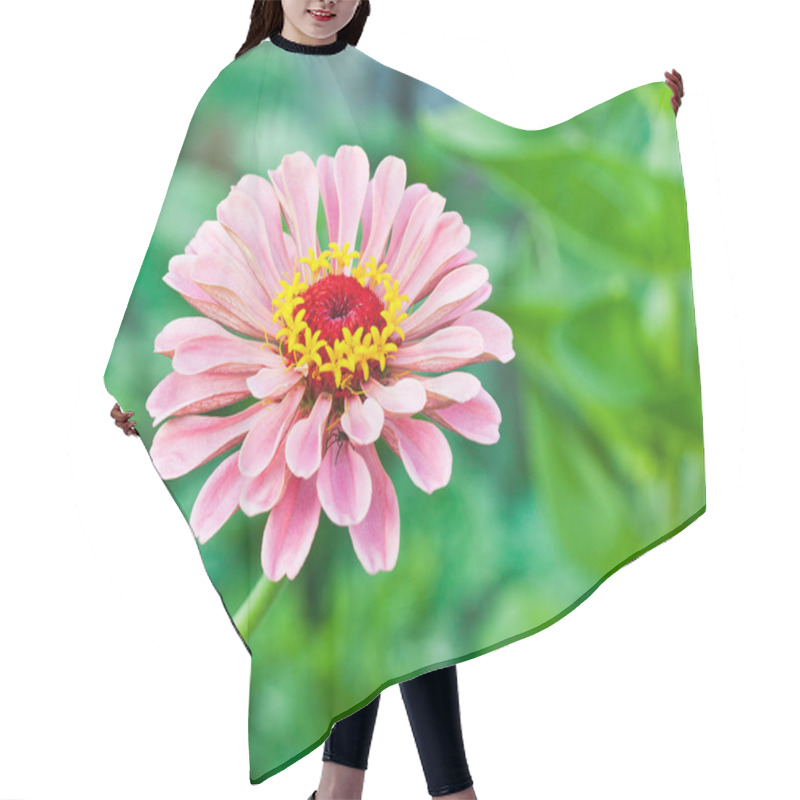 Personality  Zinnia Hair Cutting Cape