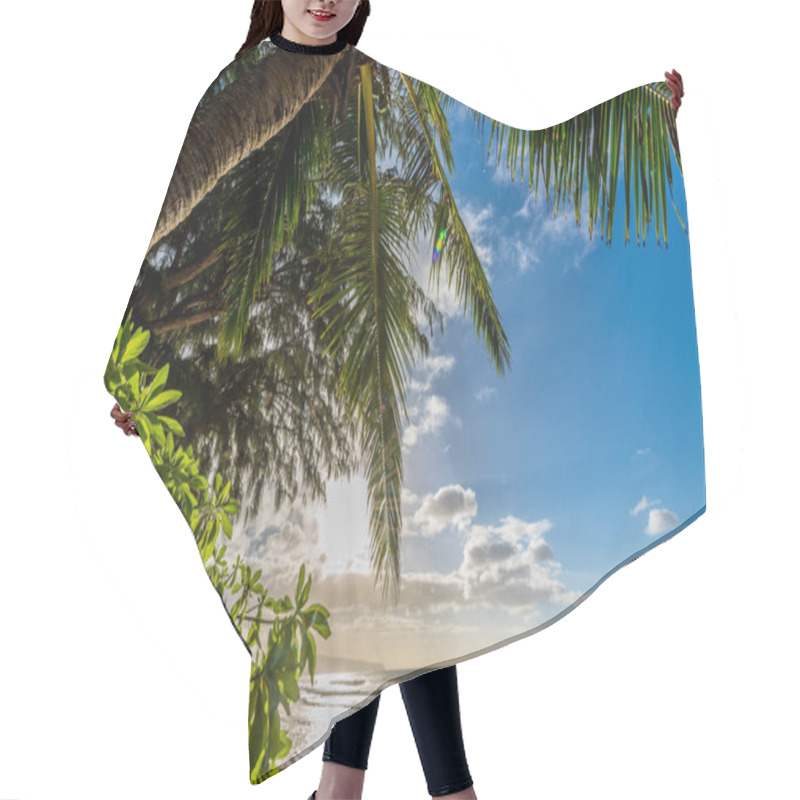 Personality  Palm Tree With Vegetation And Waves At Sunset On Sunset Beach On The North Shore Of Oahu, Hawaii  Hair Cutting Cape