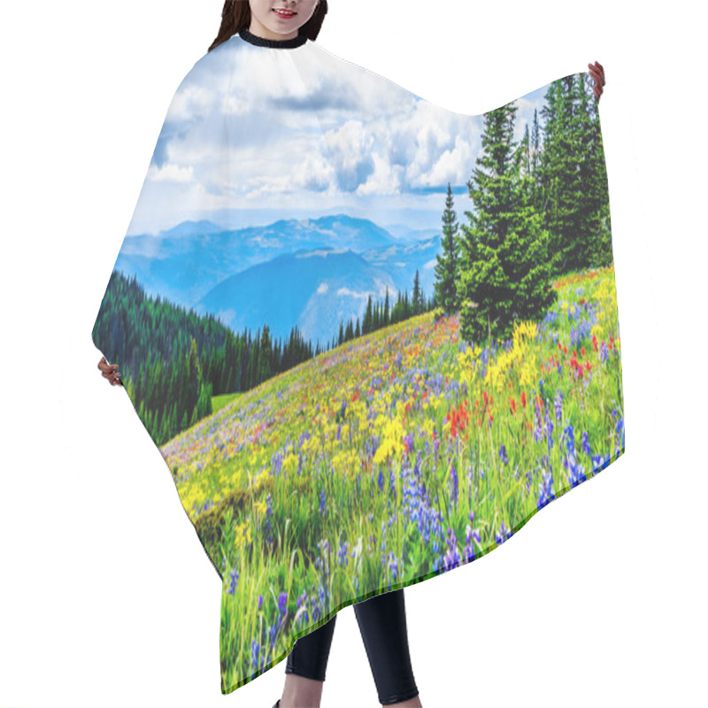 Personality  Hiking Through The Alpine Meadows Filled With Abundant Wildflowers. On Tod Mountain At The Alpine Village Of Sun Peaks In The Shuswap Highlands Of The Okanagen Region In British Columbia, Canada Hair Cutting Cape