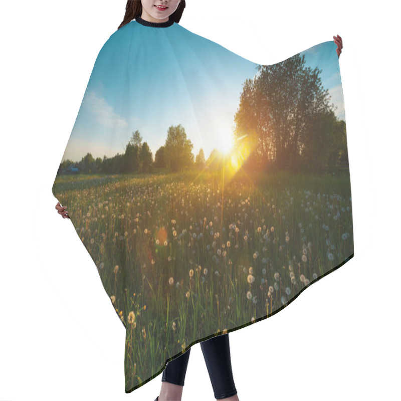 Personality  Spring Blooming Meadow With Sunset Hair Cutting Cape