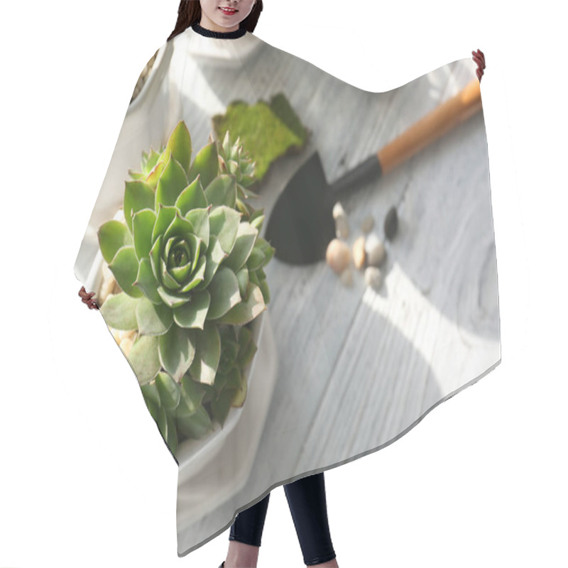 Personality  Replanting Beautiful Succulent Hair Cutting Cape