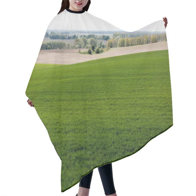 Personality  Green Trees And Bushes Near Grassy Field  Hair Cutting Cape