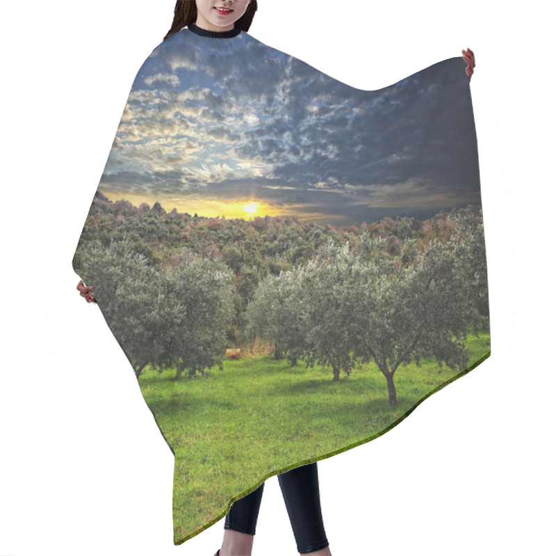 Personality  Olive Tree Background Hair Cutting Cape