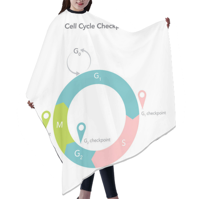 Personality  Cell Cycle Checkpoints Science Vector Illustration Graphic Hair Cutting Cape