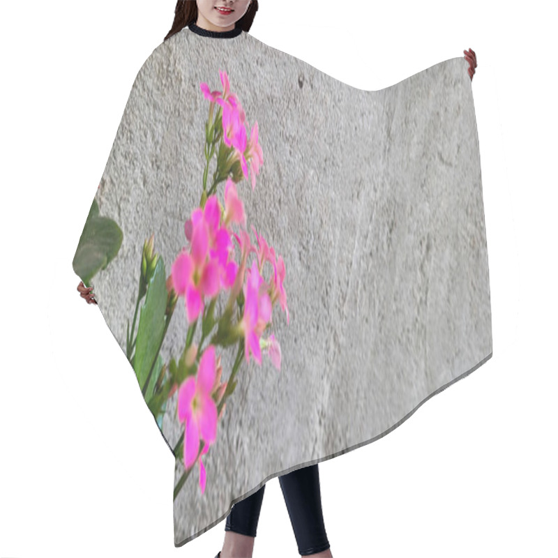 Personality  Pink Flowers With Rustic Wall Background Hair Cutting Cape