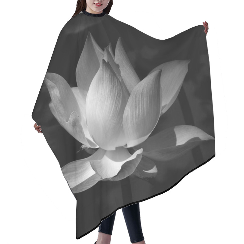 Personality  Black And White Lotus Hair Cutting Cape