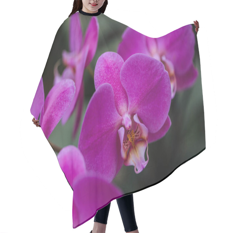 Personality  Close Up View Of Purple Orchid Flowers With Big Petals Hair Cutting Cape