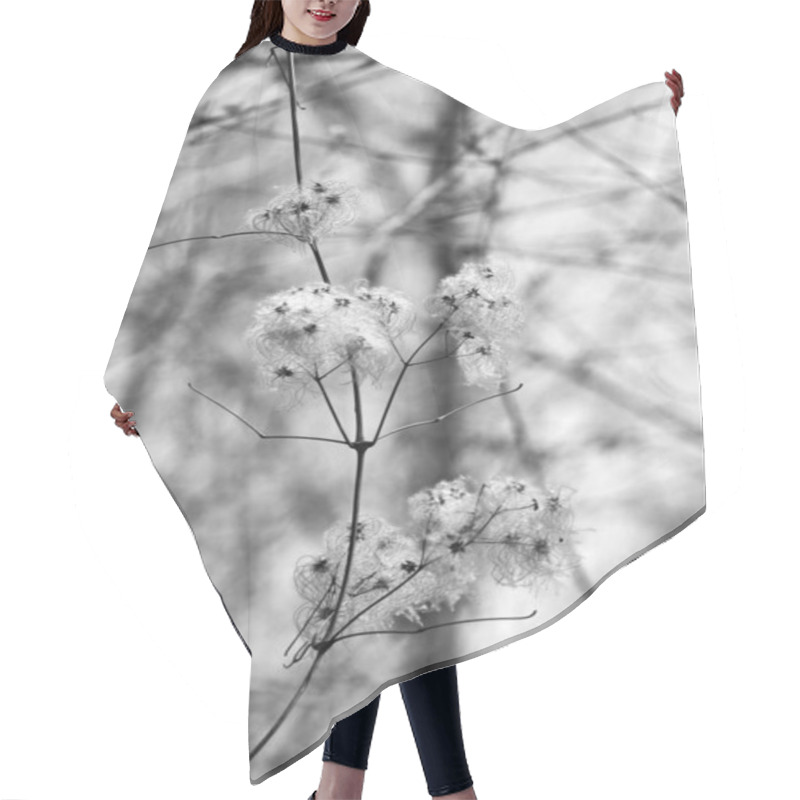 Personality  Delicate White Blossoms On A Branch In Soft Focus, Evoking Tranquility In A Monochrome Setting. Hair Cutting Cape