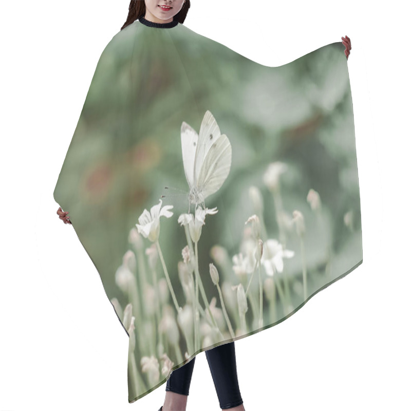 Personality  Butterfly Resting On Delicate White Flowers In A Lush Green Garden During A Sunny Afternoon Hair Cutting Cape