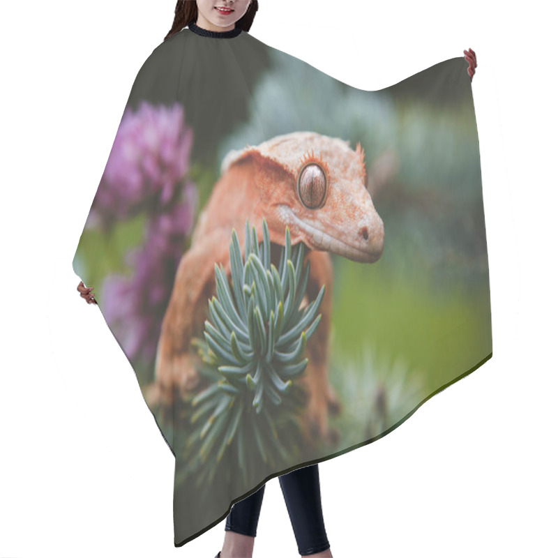 Personality  New Caledonian Crested Gecko On Tree With Flowers Hair Cutting Cape