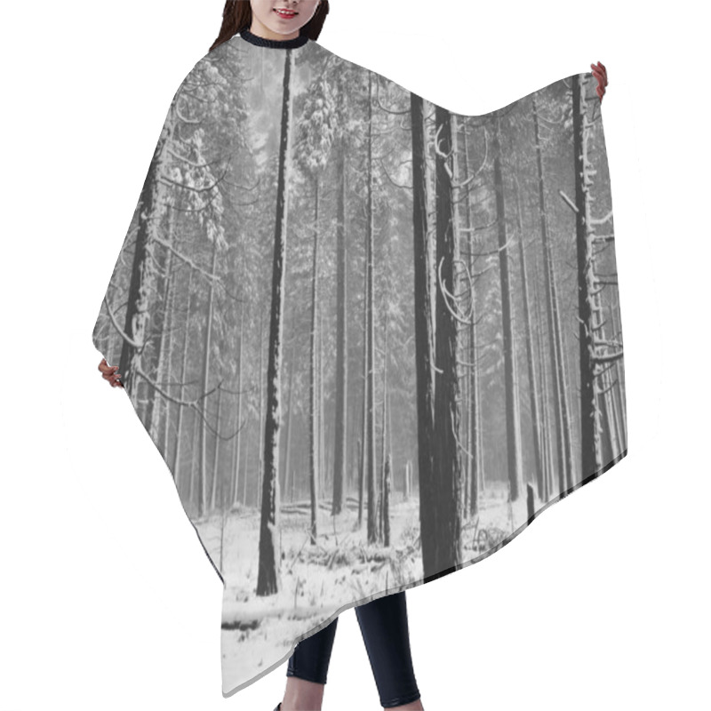 Personality  Black And White Aspen Trees During Snowstorm In Yosemite Park Hair Cutting Cape