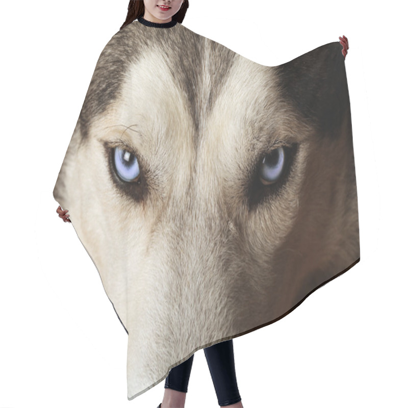 Personality  Husky Blue Eyes Hair Cutting Cape